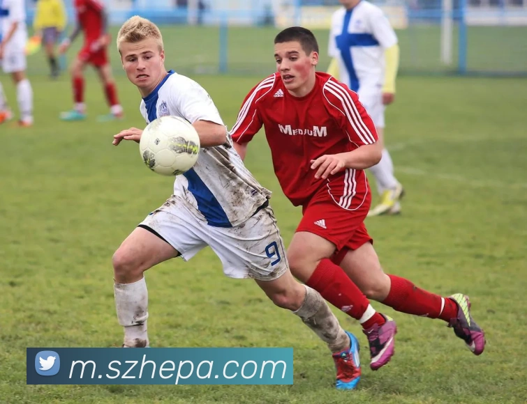 pa真人视讯APP 高清赛事图